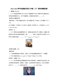 [物理][期末]河南省开封2023-2024学年八年级下学期期末试卷