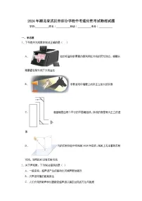 2024年湖北省武汉市部分学校中考适应性考试物理试题