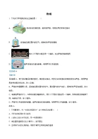 2024年湖北省武汉市中考物理真题（解析版）