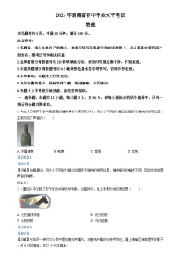 2024年湖南省中考物理真题（解析版）