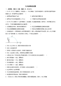 2024年山东省枣庄市中考物理真题（原卷版）