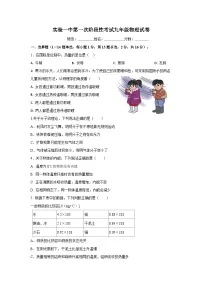 河北省保定市雄县第一初级实验中学2024-2025学年九年级上学期第一次月考物理试题