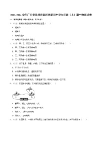 广东省汕尾市陆河县新田中学2023-2024学年九年级上学期期中物理试卷