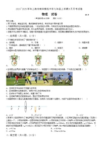 上海市徐汇区上海市南洋模范中学2024-2025学年九年级上学期10月月考物理试题