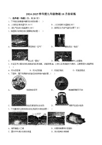 福建省龙岩市高级中学2024-2025学年九年级上学期10月月考物理试卷(无答案)