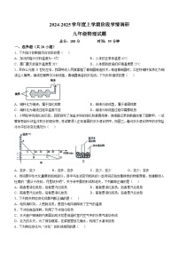 山东省临沂市临沭县第二初级中学2024-2025学年九年级上学期10月月考物理试题(无答案)