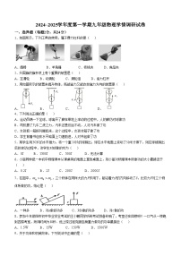 江苏省徐州市丰县欢口镇欢口初级中学2024-2025学年九年级上学期10月月考物理试题(无答案)