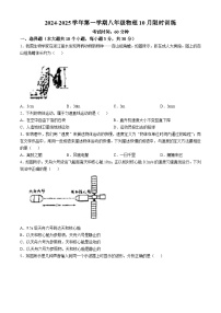 山西太原市第四十八中学校2024-2025学年八年级上学期10月限时训练物理试题 (无答案)