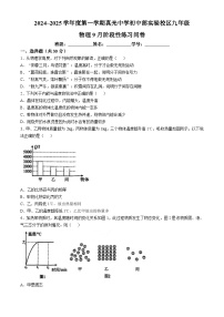 广东省广州市真光中学2024-2025学年九年级上学期9月月考物理试题(无答案)