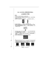 [物理]河南省南阳市南召县2024～2025学年九年级上学期10月月考试题(无答案)