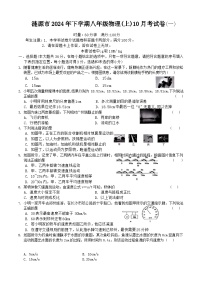 湖南省娄底市涟源市2024-2025学年八年级上学期10月月考物理试题