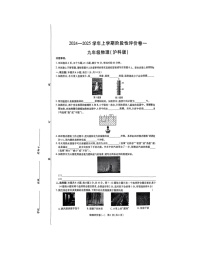 河南省南阳市南召县2024-2025学年九年级上学期10月月考物理试题