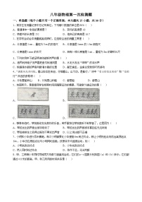 黑龙江省齐齐哈尔市富裕县富裕县第二中学2024-2025学年八年级上学期10月月考物理试题(无答案)