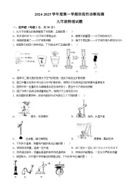 山东省枣庄市台儿庄区2024-2025学年九年级上学期10月月考物理试题(无答案)