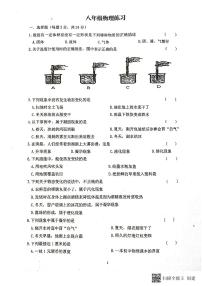 甘肃省张掖市甘州区某学校2024--2025学年八年级上学期第一次月考物理试卷