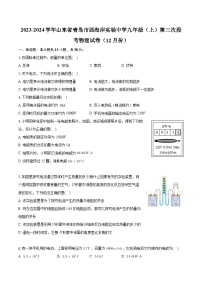 山东省青岛市西海岸实验中学2023-2024学年九年级上学期第三次段考物理试卷（12月份）