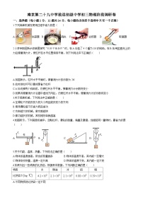 江苏省南京市第二十九中学2024-2025学年九年级上学期10月月考物理试题(无答案)