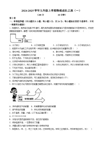 山东省日照市经济技术开发区中学2024-2025学年九年级上学期10月物理月考卷(无答案)