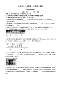 江西省宜春市第八中学2024—2025学年八年级上学期第一次月考物理试题(无答案)