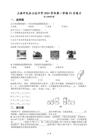 上海市民办立达中学2024-2025学年九年级上学期十月月考物理试卷