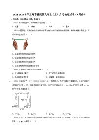 上海市普陀区2024-2025学年九年级上学期月考物理试卷（9月份）