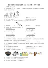[物理]湖南省衡阳市船山实验中学2024～2025学年八年级上学期第一次月考试卷(有解析)
