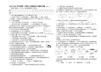 山东省枣庄市第五中学2024-2025学年九年级上学期第一次 月考物理模拟试题