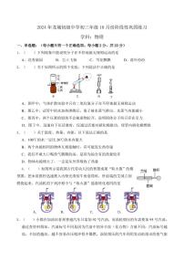 广东省深圳市龙岗区龙城初级中学2024-2025学年九年级上学期10月份巩固练习物理试题