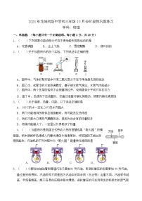 广东省深圳市龙岗区龙城初级中学2024-2025学年九年级上学期10月份巩固练习物理试题