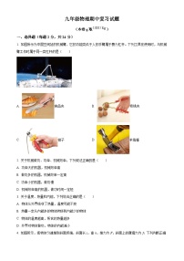 2024-2025学年苏科版物理九年级上学期期中复习提升试题
