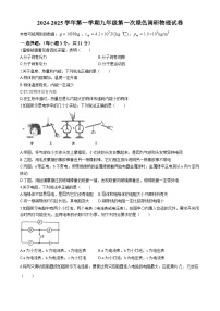 广东省佛山市南海区桂城街道灯湖初级中学2024-2025学年九年级上学期10月月考物理试题(无答案)
