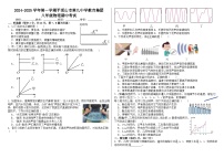 河南省平顶山市第九中学2024-2025学年八年级上学期期中考试物理试卷