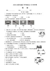 北京市东直门中学2024-2025学年九年级上学期10月月考物理试卷