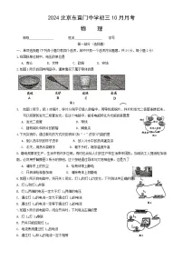 北京市东直门中学2024-2025学年九年级上学期10月月考物理试卷