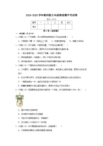 2024-2025学年 教科版 物理 九年级上学期期中模拟练习卷