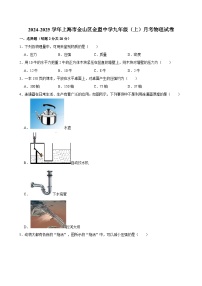 上海市民办金盟学校2024-2025学年九年级上学期月考物理试卷