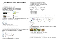 内蒙古赤峰市2024-2025学年九年级上学期10月月考物理试题