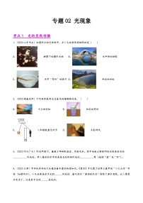 中考物理真题分项汇编(全国通用)专题02光现象(第01期)精品练习(原卷版+解析)