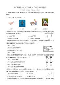 2023-2024学年江苏省扬州市宝应县城北中学九年级（上）月考物理试卷（10月份）.