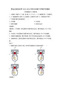 [物理]黑龙江省绥化市2024年中考模拟试题(解析版)