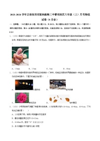 云南省西双版纳勐海县第三中学2023-2024学年八年级上学期月考物理试卷（9月份）