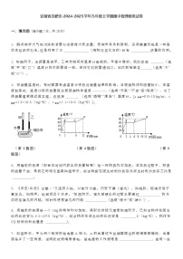 安徽省合肥市2024-2025学年九年级上学期期中物理模拟试卷