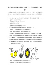 2023-2024学年云南省昆明市九年级（上）月考物理试卷（10月份）