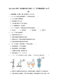 2023-2024学年广东省惠州市九年级（上）月考物理试卷（10月份）