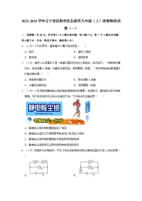 2023-2024学年辽宁省沈阳市沈北新区九年级（上）质检物理试卷（一）