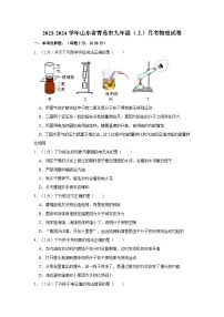 2023-2024学年山东省青岛市九年级（上）月考物理试卷