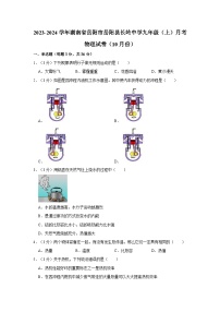 2023-2024学年湖南省岳阳市岳阳县长岭中学九年级（上）月考物理试卷（10月份）