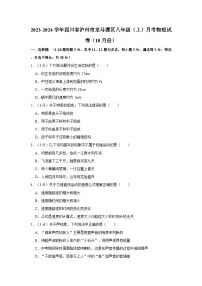 2023-2024学年四川省泸州市龙马潭区八年级（上）月考物理试卷（10月份）