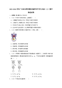 2023-2024学年广东省东莞市寮步镇香市中学九年级（上）期中物理试卷