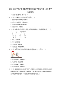 2023-2024学年广东省肇庆市端州区地质中学九年级（上）期中物理试卷